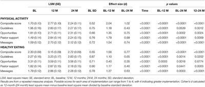 The Faith, Activity, and Nutrition (FAN) Dissemination and Implementation Study: 24-Month Organizational Maintenance in a Countywide Initiative